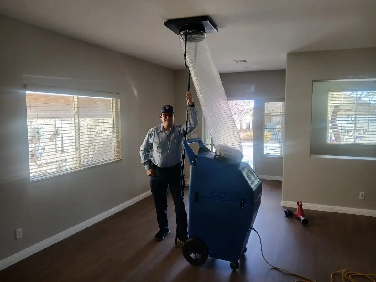 Professional Dryer Vent Cleaning work inside a Carteret home